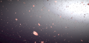 樱花漫天飞舞特效源码-海拥资源库-神级源码资源网