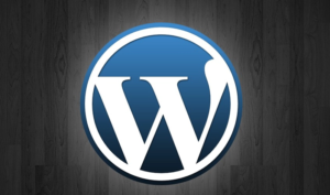分类-WordPress-海拥资源库-神级源码资源网