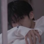 北城的头像-海拥资源库-神级源码资源网