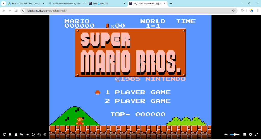图片[2]-1200+fc红白机游戏文件+浏览器运行模拟器+游戏站主页，支持手柄，可存档（附赠了一个数据库，别乱删哦）