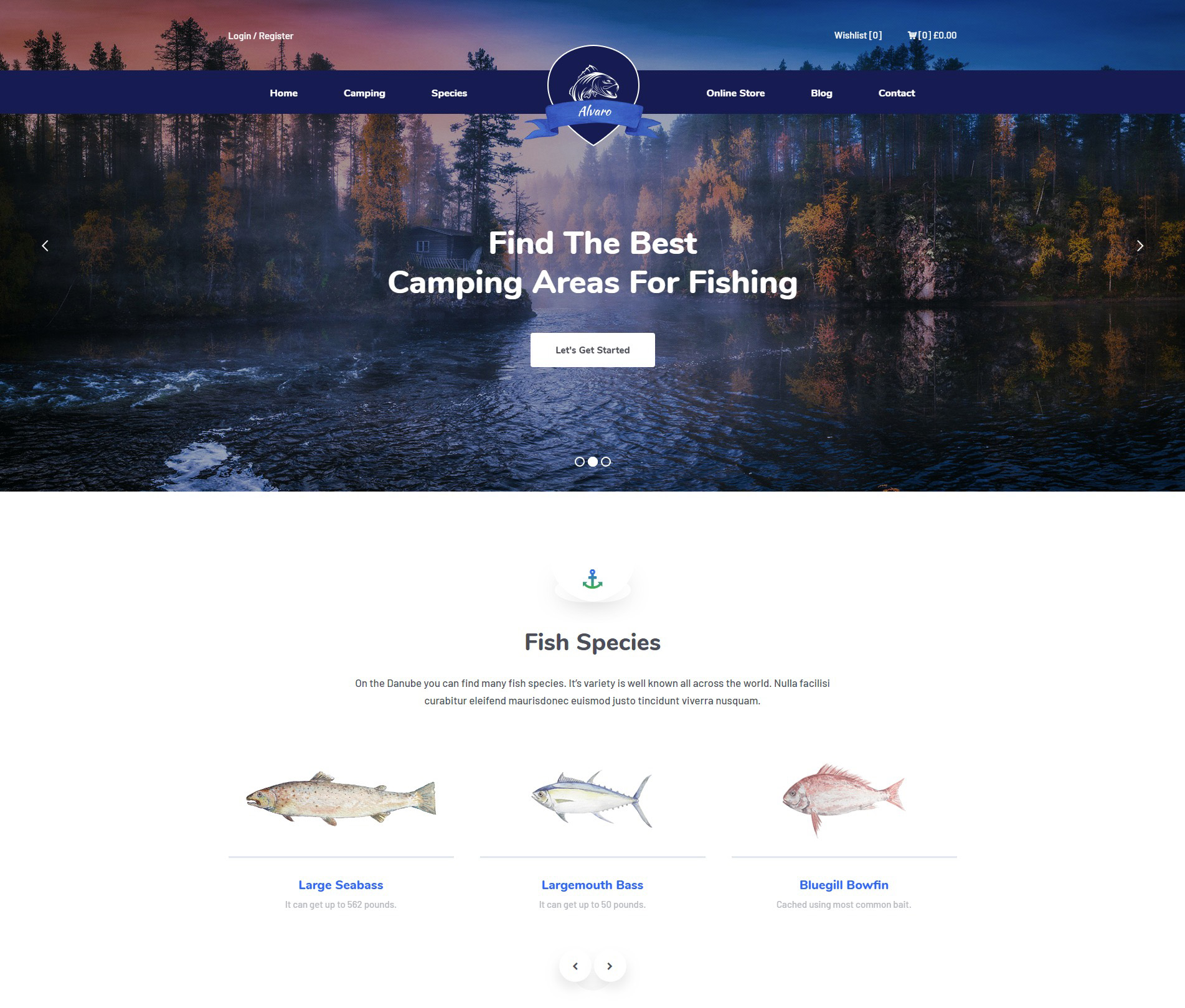 响应式钓鱼类网站WordPress主题-Alvaro-海拥资源库-神级源码资源网